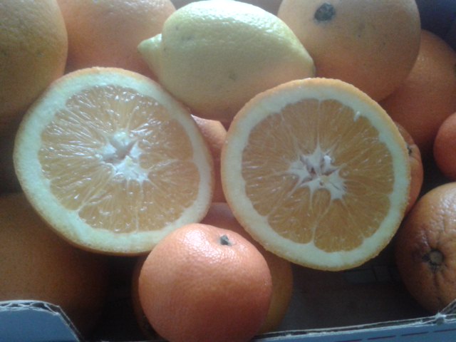 Foto delle arance intere e divisa a met. Un limone e alcune clementine